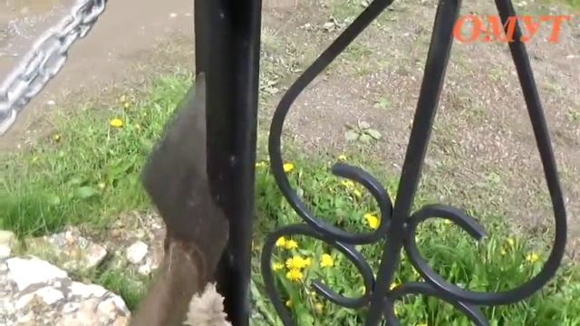 32. КОЛЫ .... смотреть онлайн