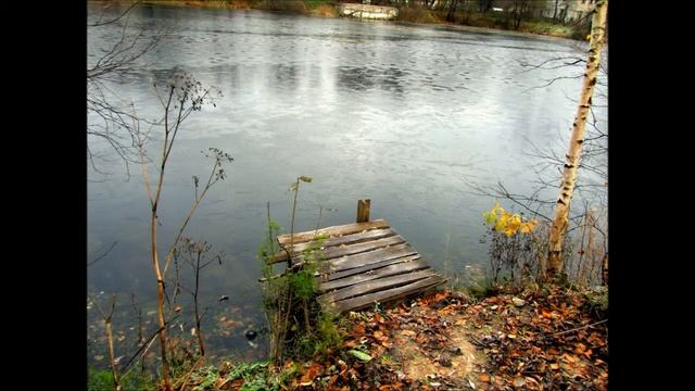 усадьба Чашниково Собакиных смотреть онлайн