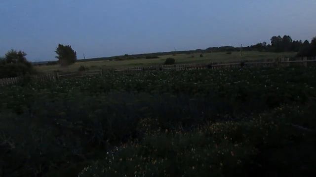 ВЕЧЕР... ЛУНА... смотреть онлайн