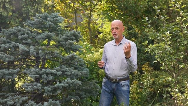 Сад бонсай и ниваки Андрея Дарусенкова смотреть онлайн