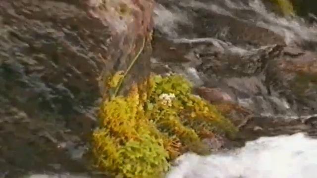 Камчатка- На водопады в-н Горелый смотреть онлайн