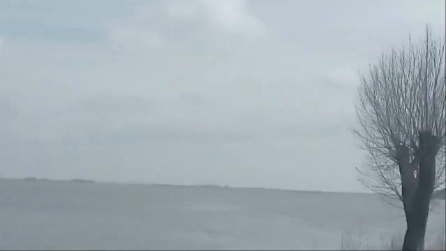 г. КАЛАЧ НА ДОНУ. Прогулка по городу . Новая набережная - почти готова. Собаки престоваки . смотреть онлайн