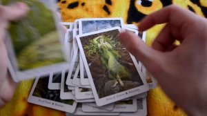 Обзор Таро Дикого Леса \\ Wildwood Tarot. Как призвать духов помощников и узнать свой тотем