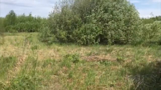 Продаются участки в Ахунах СНТ Дубрава ул. Санаторный порядок | Купите участок в Ахунах СНТ Дубрава смотреть онлайн