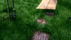 Садовый паркет