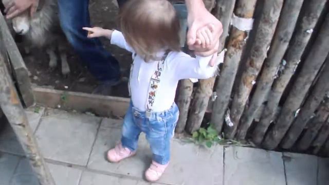 В ЗООПАРК 🐾 Контактный Детский Дворик 🐏🐰 Гладим Кроликов и Баранов 🐻🐅 Дикие Животные для Детей смотреть онлайн