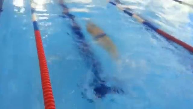 Школа плавания ,,DolphinLife,,Техника поворота способом брасс смотреть онлайн