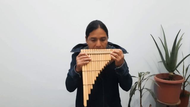 PAKARINA - LOPACHO смотреть онлайн
