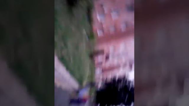 Мы полные тролли смотреть онлайн