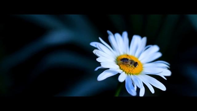 Asia Hotel New Building