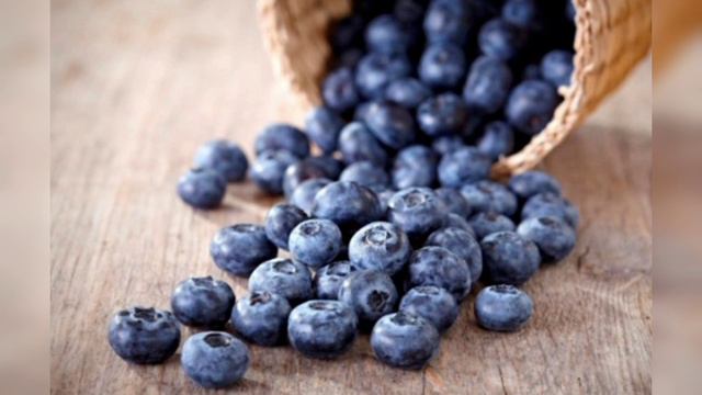 Հապալասը ունի հակաուռուցքային ,ուղեղի աշխատանքը բարելավվող հատկություն🫐🫐🫐🫐🫐