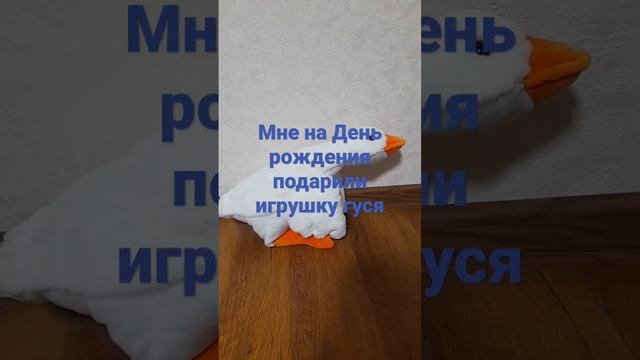 мне на День рождения подарили игрушку гуся смотреть онлайн
