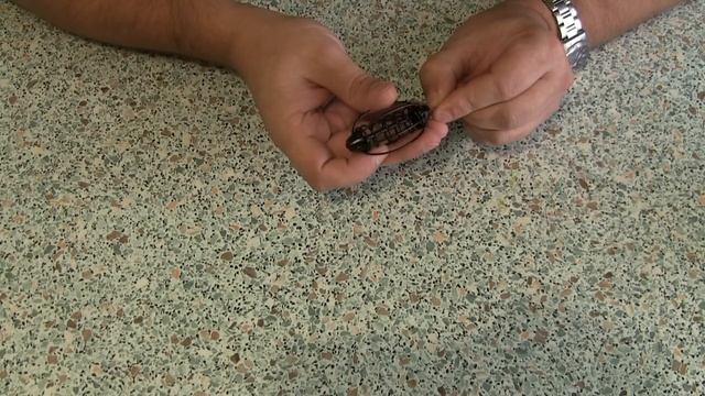 Кормушка для рыбалки. Часть 3. Пружина "Арбуз" смотреть онлайн