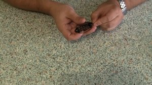 Кормушка для рыбалки.  Часть 3.  Пружина "Арбуз"