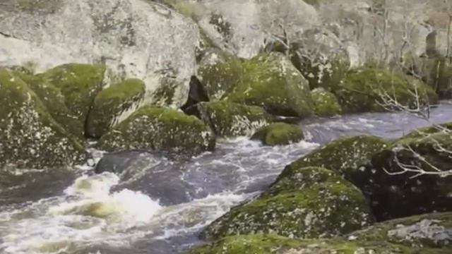 puente robledo zarza de pumareda смотреть онлайн