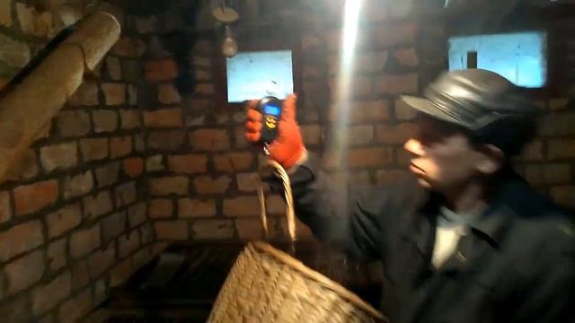 Взвешивание нутрии в 4 четыре месяца смотреть онлайн