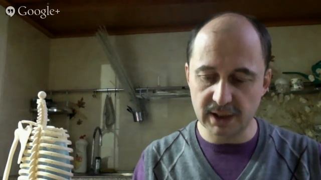 биология 8 класс смотреть онлайн