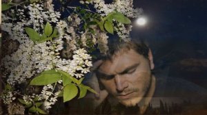 Соловьяненко Анатолий   То не ветер ветку клонит