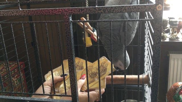 Кузя-прорицатель. Карта недели смотреть онлайн