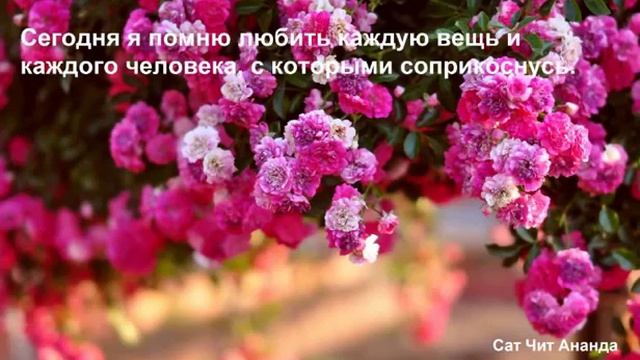 Марафон 19 День Медитация Жить в любви смотреть онлайн