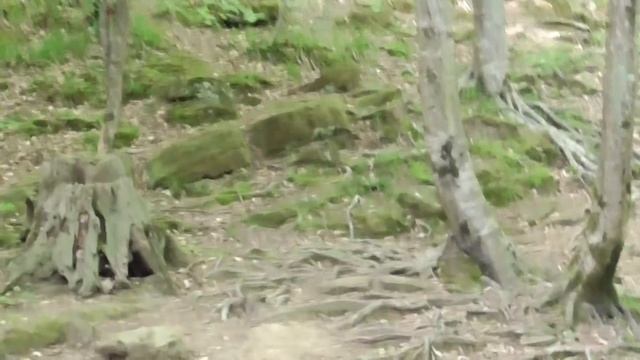 Сочи Волконское ущелье дольмен что посмотреть куда поехать достопримечательности интересные места смотреть онлайн