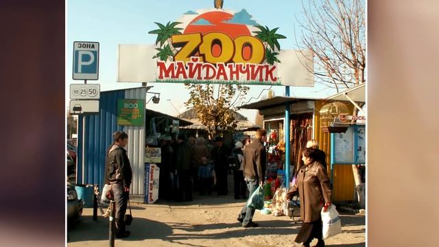 7 ФАКТОВ О СЛИВКИ ШОУ, О КОТОРЫХ ВЫ НЕ ЗНАЛИ | Куки КОТ или КОШКА? смотреть онлайн