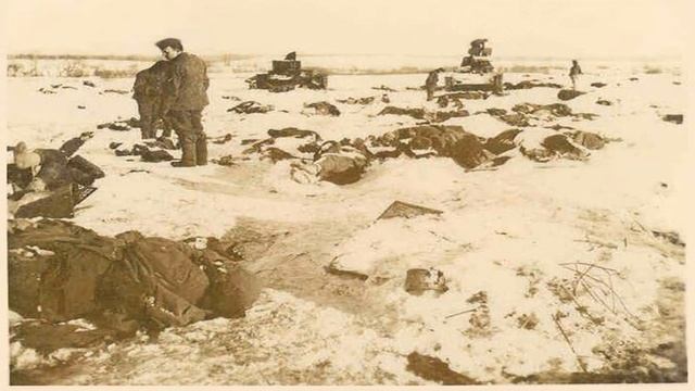 Mój Wysocki 17. Tłumaczenie i wykonanie utwóru "Братские могилы" - "Zbiorowe mogiły" смотреть онлайн