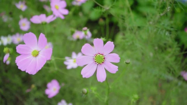 299 Romantic Saxophone Music 10 Hours 🍁 Saxophone Wedding Music Playlist Dance Playlist 2023 смотреть онлайн