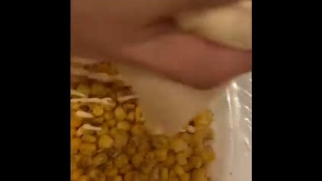 Салат "КОРН" Самый ПИТАТЕЛЬНЫЙ Кукуруза Витамины Овощной Кето Палео Быстро Просто Вкусно Полезно ХИ смотреть онлайн