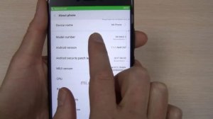 Incoming call XIAOMI Mi Max 2 64Gb