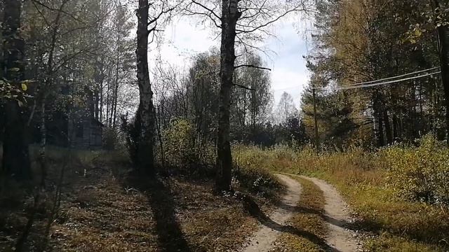 ЗОЛОТАЯ ОСЕНЬ НА ДАЧЕ, ПРИЕХАЛИ ОТДАТЬ ДАНЬ ПАМЯТИ БАБУШКЕ смотреть онлайн