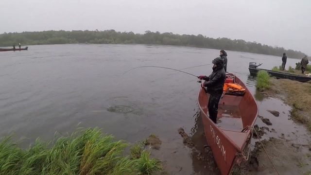 Steppe hunters, fishing in Kamchatka 2023. Part 2 / Степные охотники на Камчатке, часть 2 смотреть онлайн
