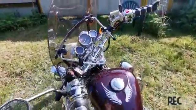 Regal Raptor DD 50 смотреть онлайн