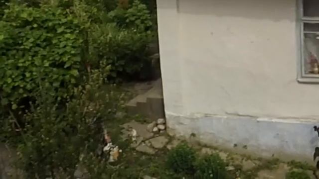 БРОСАЕМ ТРОТИЛ В ДОМ СОСЕДКИ. ЧТО- ТО ПОШЛО НЕ ПО ПЛАНУ смотреть онлайн