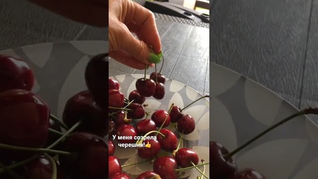 Черешня в Подмосковье! смотреть онлайн