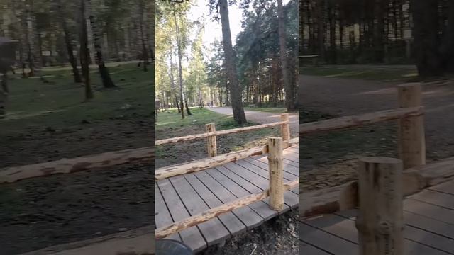 Диприз. Парк животных. смотреть онлайн