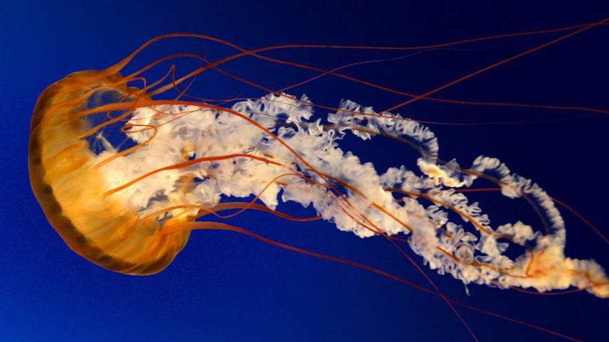 Разбор ДЗ - Geek Brains