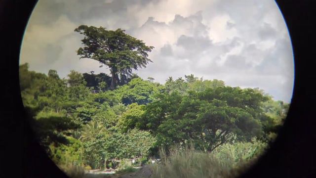 Svbony SV202 10x42 ED Binocular