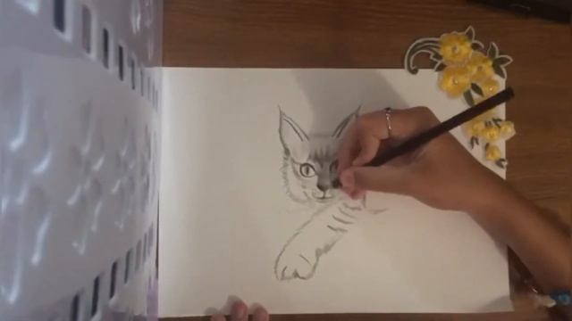 How to Draw Cat -Drawing with pencil - КАК НАРИСОВАТЬ КОШКУ смотреть онлайн