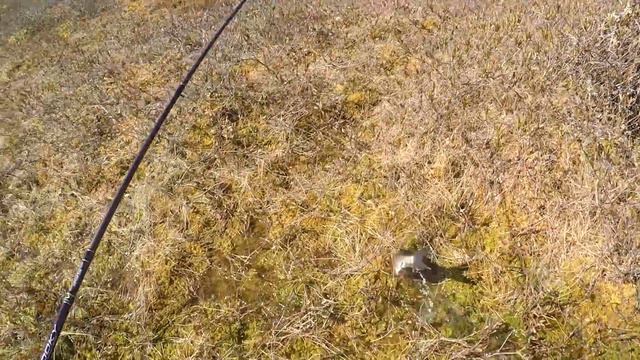 Язь на микроджиг! На фишкаяке по озёрам! смотреть онлайн