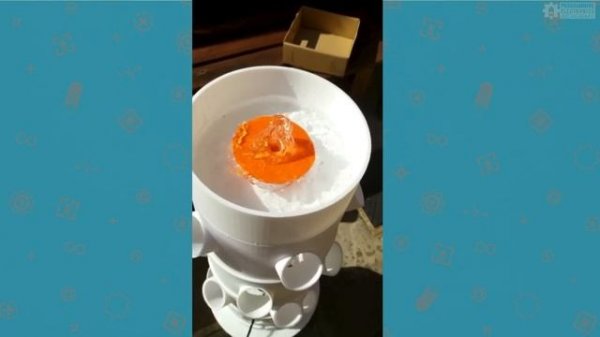 DIY Hydroponic Garden w/Arduino and IoT