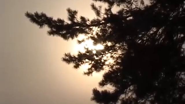 Идут ли в Димитровград настоящие крещенские морозы смотреть онлайн