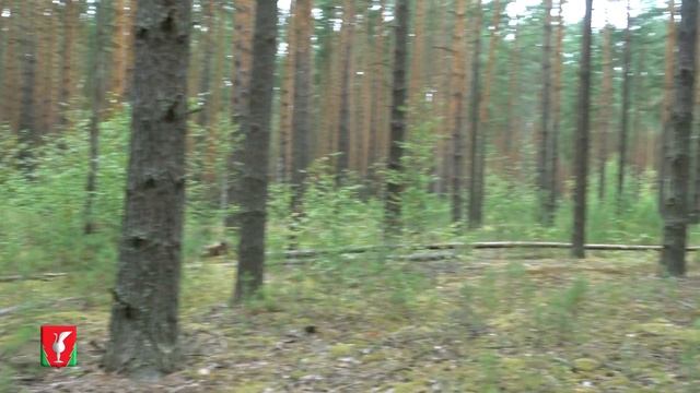 Краса и гордость Гусевской земли. Курганы Гусь-Парахино смотреть онлайн