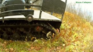 Испытания на болоте всесезонного мотобуксировщика Ураган Медведь / Обзор