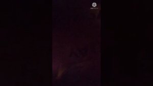Ночной урчащий живот