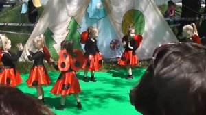 Танец божьих коровок