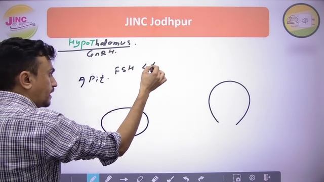Menstrual Cycle, Ovulation, Fertilization, Gametogenesis #OBG #06 महारथी Series PRE & MAINS | JIN смотреть онлайн