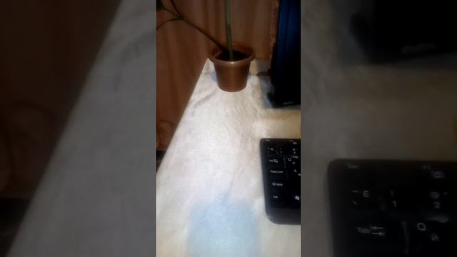 Инжир из косточки смотреть онлайн