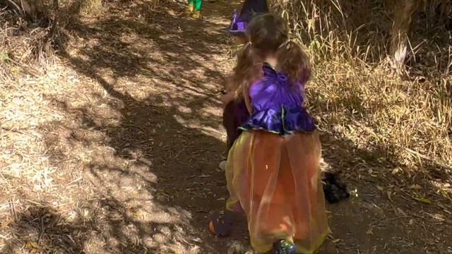 Halloween Pumpkin Letter Hunt | Mega Milo смотреть онлайн