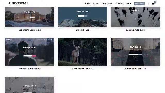 Universal - Smart Multi-Purpose WordPress Theme смотреть онлайн